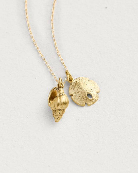 Bonnet Shell and Sand Dollar Pendant