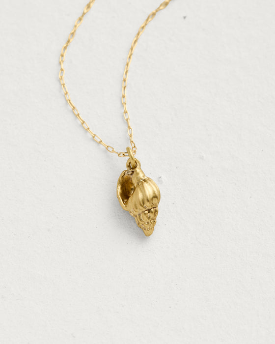 Bonnet Shell Pendant