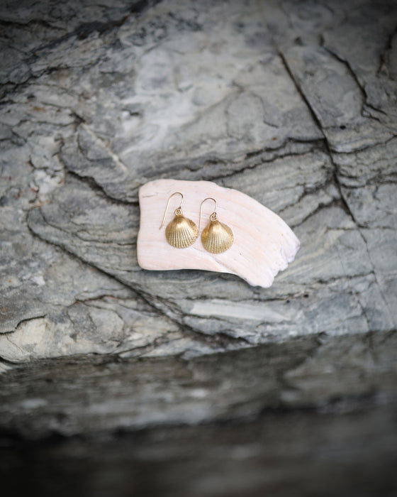 Scallop Shell Earrings