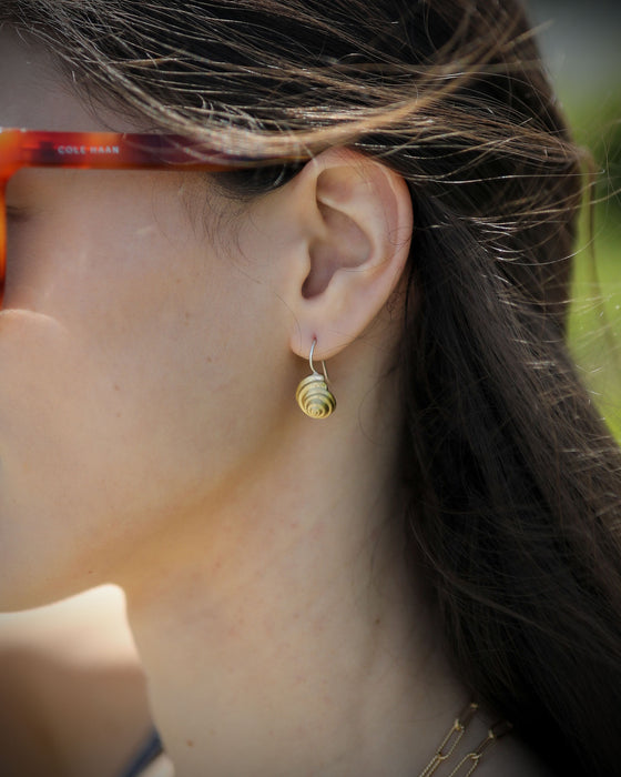Spiral Shell Earrings